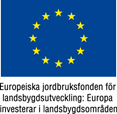 EU-flaggaEuropeiskajordbruksfondenfaerg.JPG EU-flaggaEuropeiskajordbruksfondenfaerg.JPG